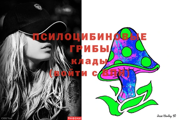сатива Нягань