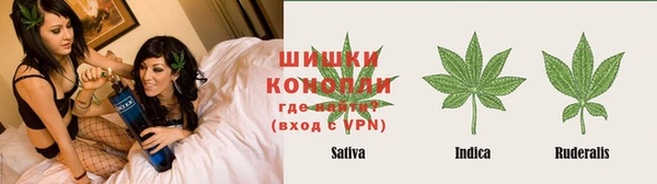 сатива Нягань
